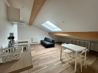 STUDIO A LOUER - ST ETIENNE - 20.7 m2 - 390 € charges comprises par mois